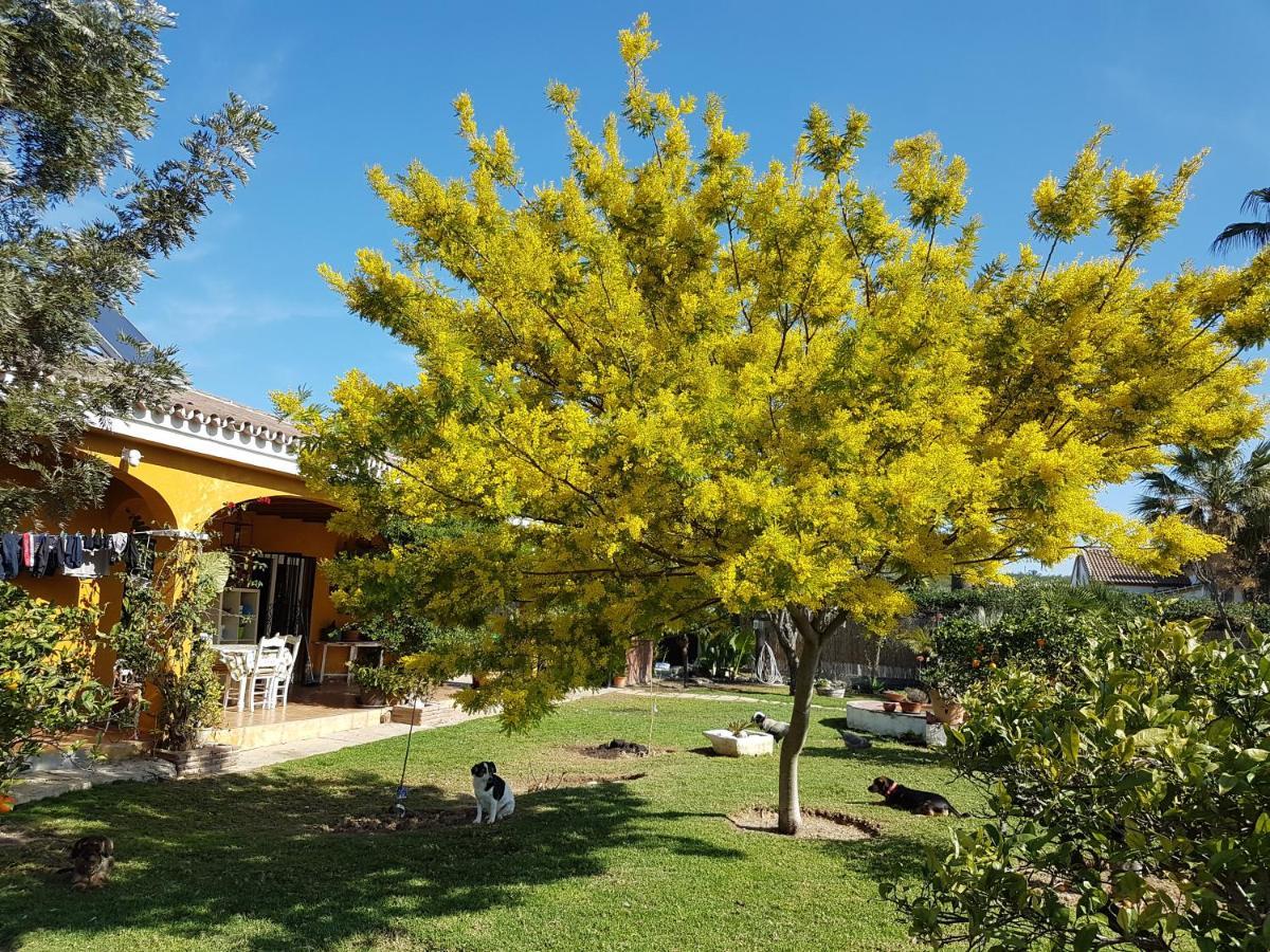 Finca La Gallina Blanca Alhaurín el Grande Exteriér fotografie
